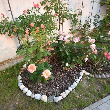 Apartmaji Lejardin Skofljica Ngoại thất bức ảnh